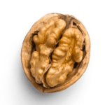 Walnuss fürs Kapitel Kieferhöhle